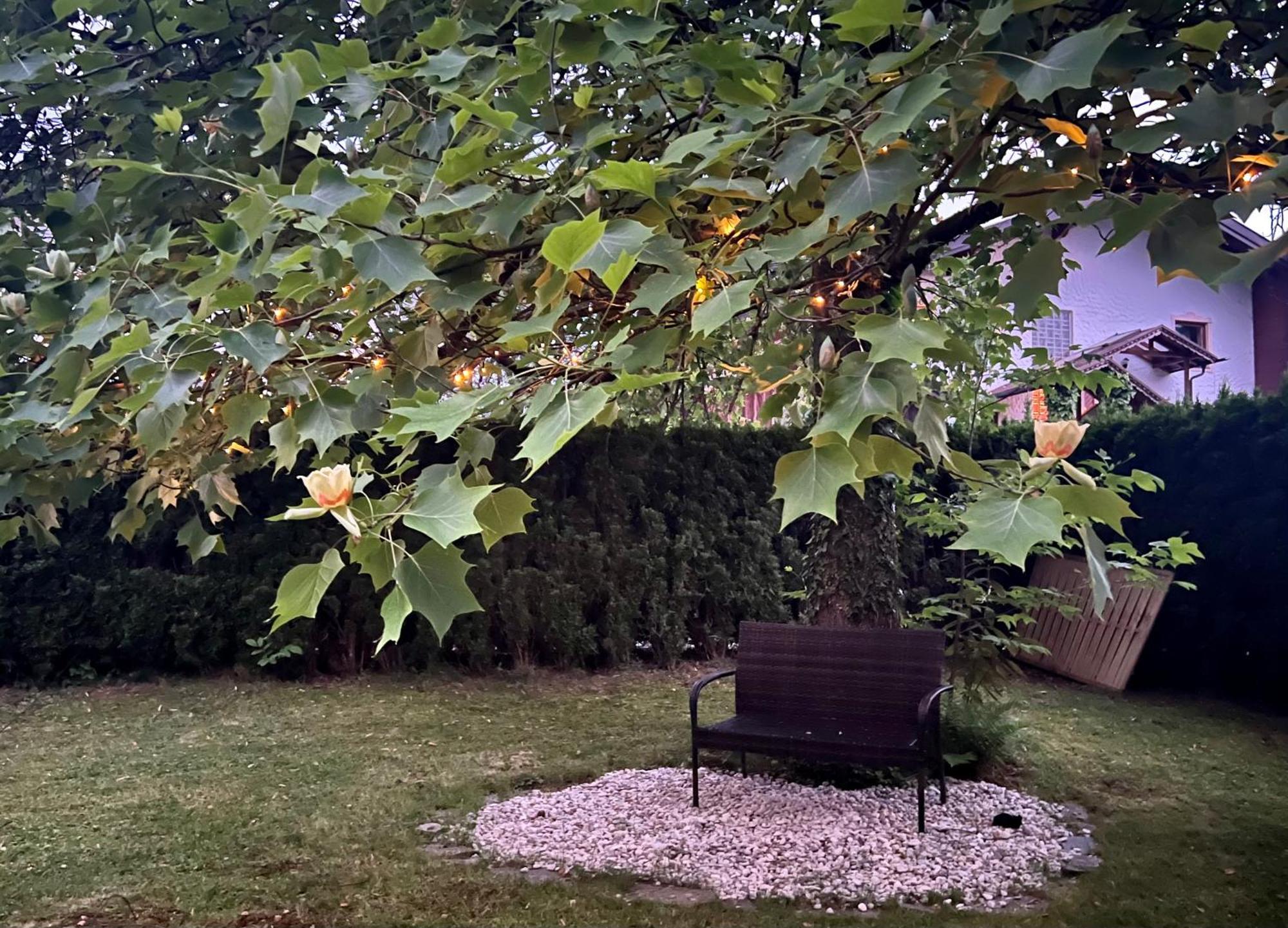 Haus Mit Garten Ойґендорф Екстер'єр фото